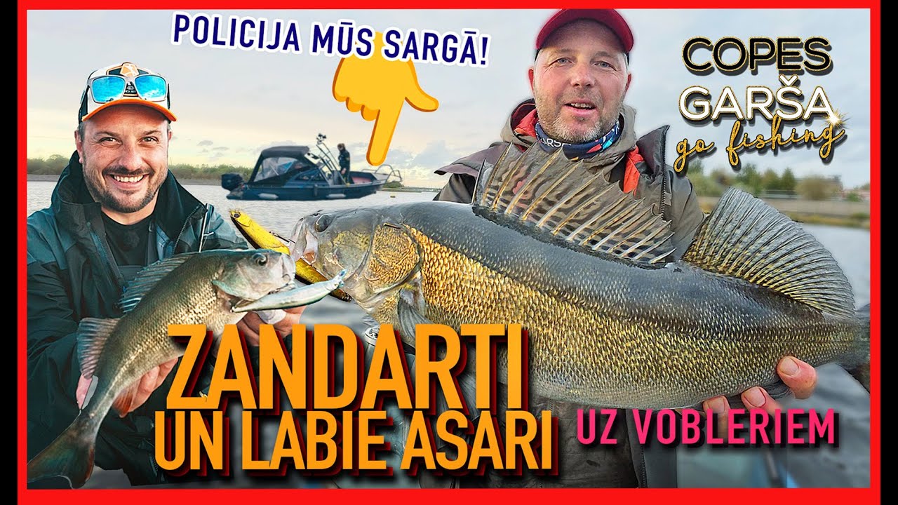 COPES GAR&Scaron;A - LIELAIS  ZANDARTS UN  ASAR!
