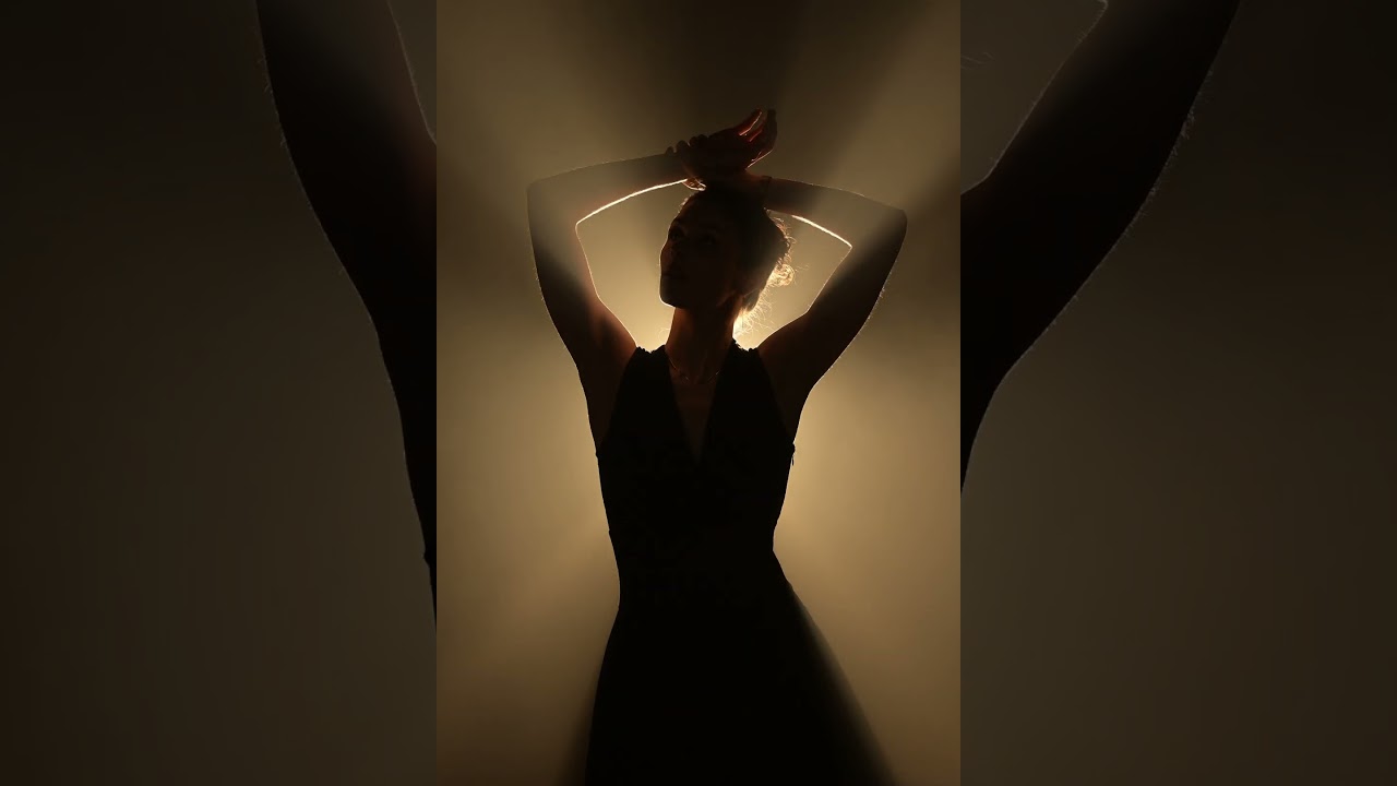 Entre Ombre et Lumi&egrave;re &ndash; L&rsquo;Essence de la Silhouette