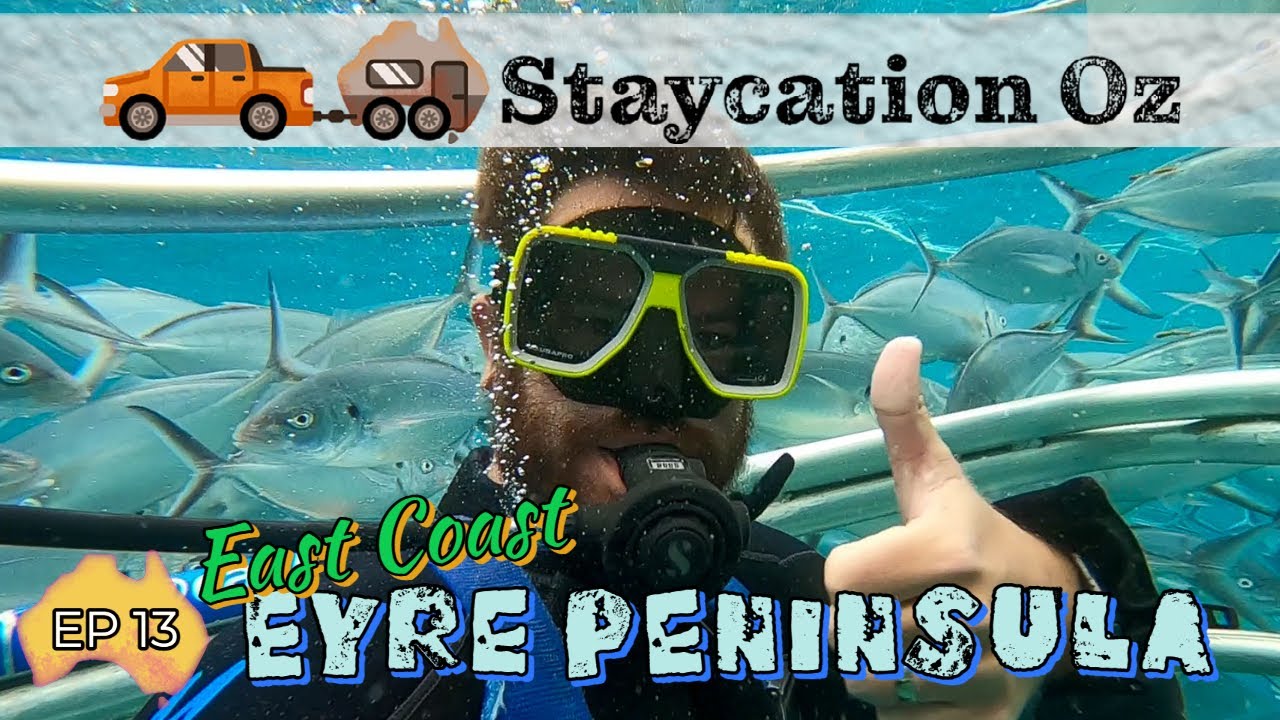 EP13: East Coast Eyre Peninsula & Shark Cage Diving in Port Lincoln! | Lap of Australia