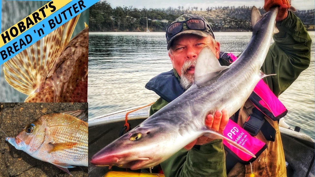 CATCHING A MEAL OF FISH ON HOBART'S DOORSTEP With Rory Muller