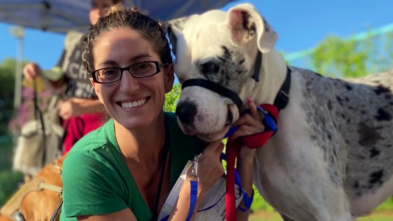 Community Initiatives to help pets in Texas | Operation Kindness