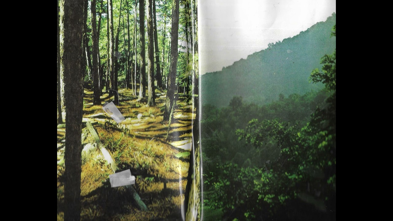Imaginary Softwoods &ndash; Imaginary Softwoods (Cassette Rip)