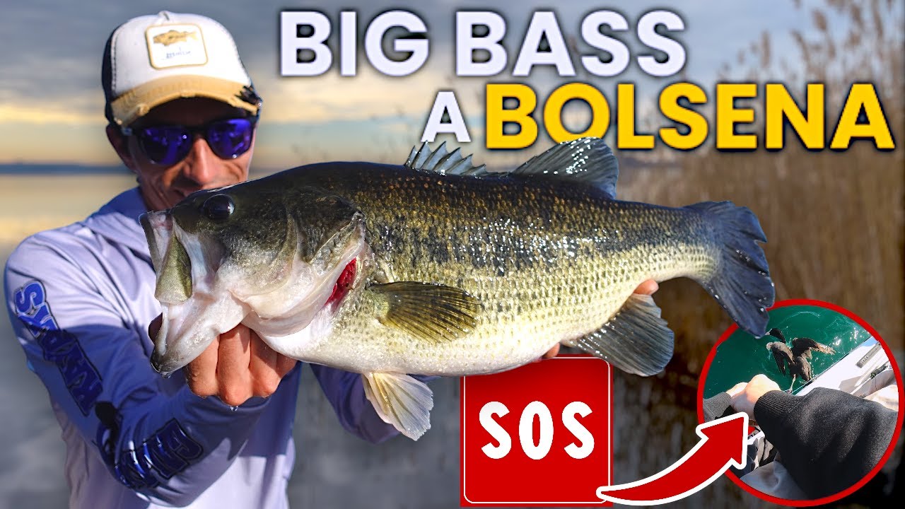Le SALVIAMO la Vita e il LAGO mi REGALA i BIG BASS! Bass Fishing a Bolsena (4k)