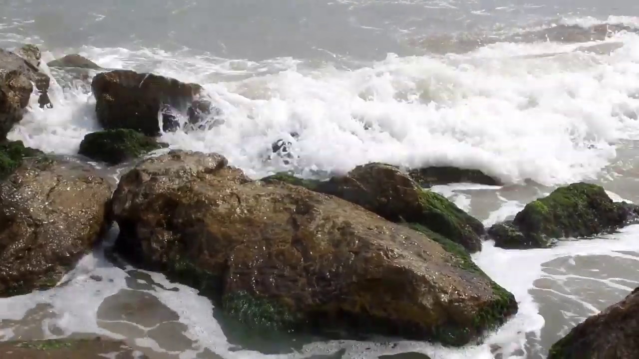 Sea Sounds , Black Sea sounds