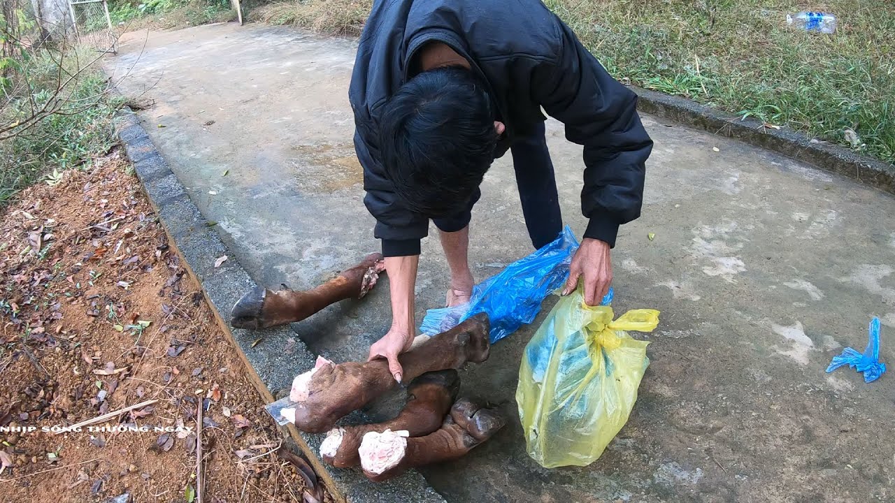 CHI BÒ HẦM | Nhịp Sống Thường Ngày