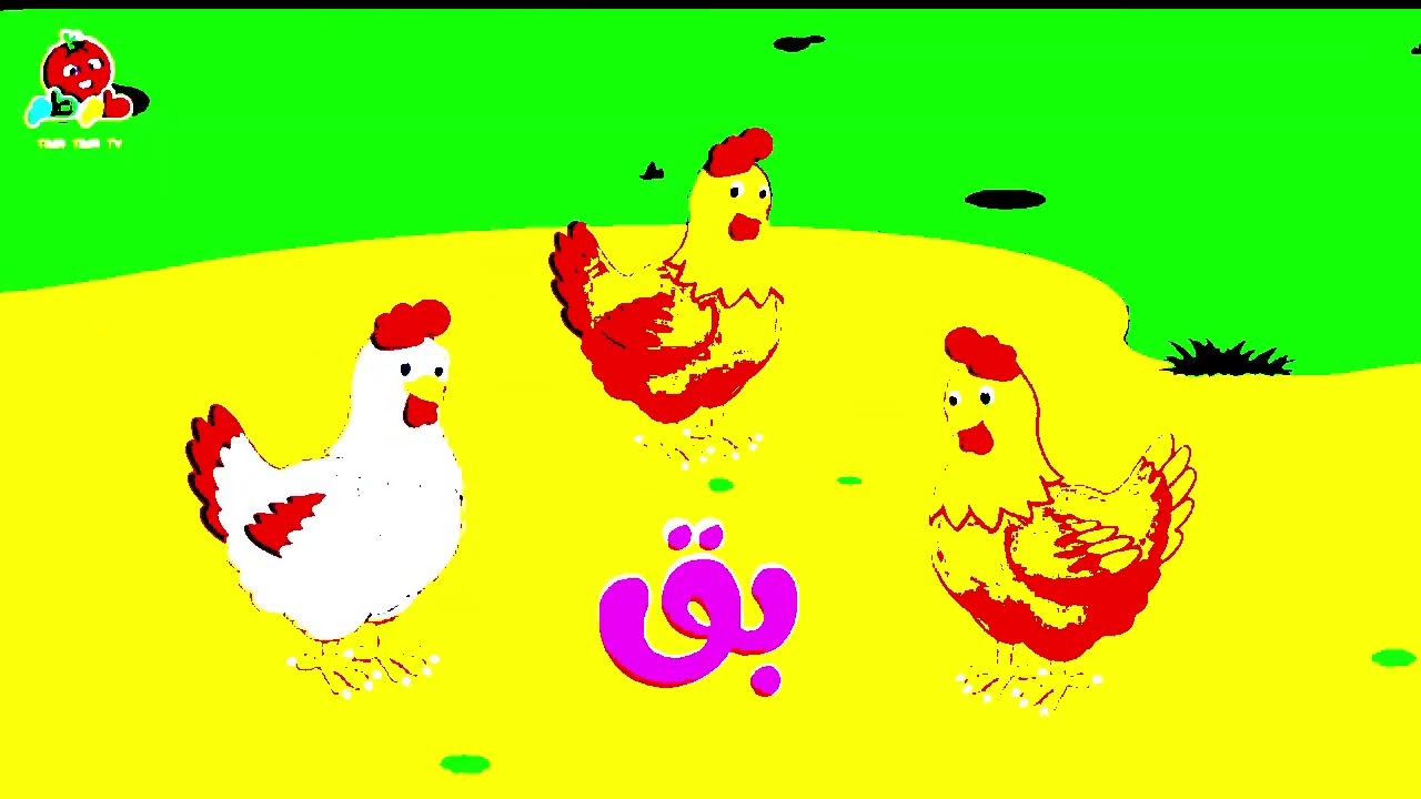 Tamtam Tv Chicken Animal Effects Sponsored By Gamavision Effects 