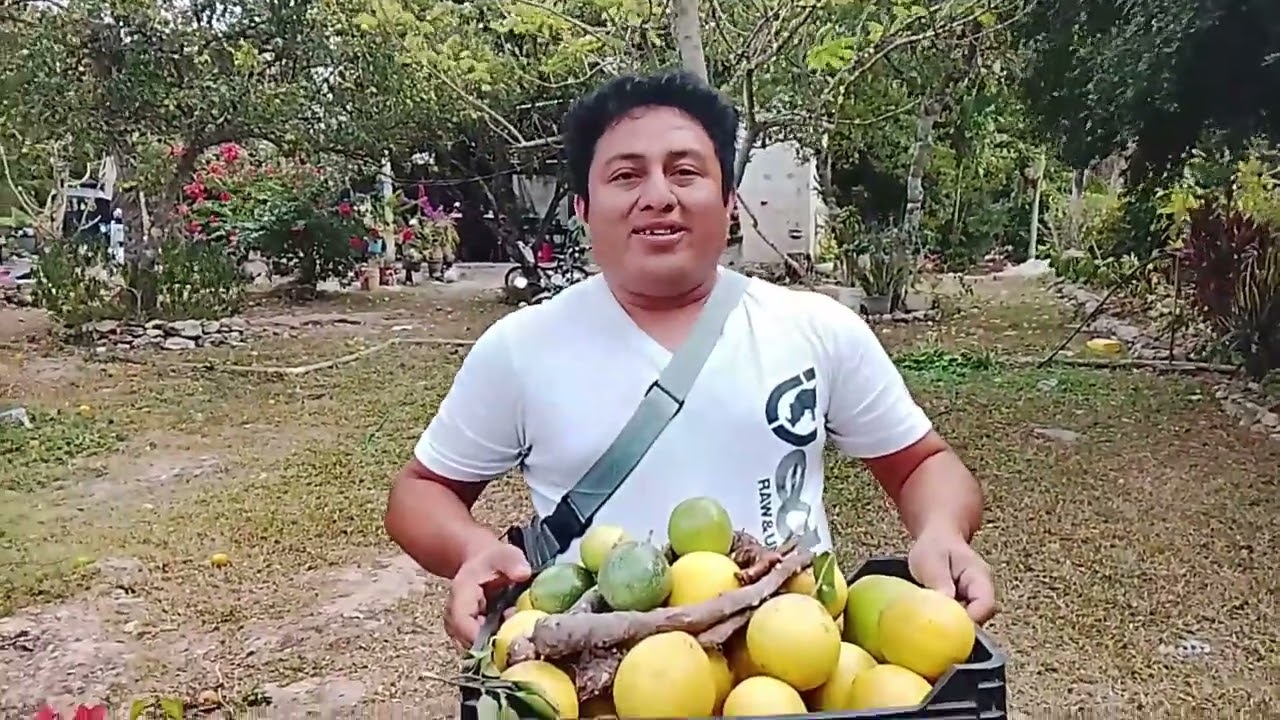 Por esta razón los yucatecos somos felices 