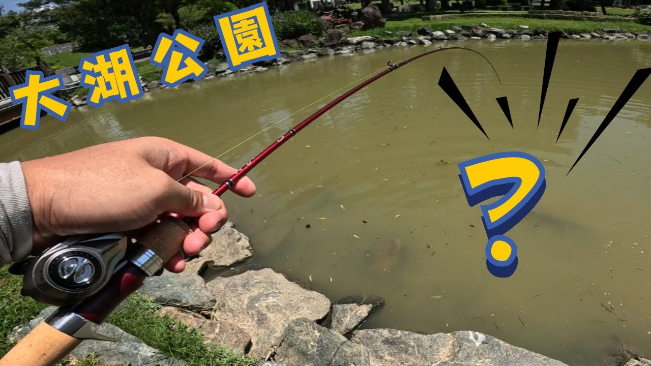 大湖公園釣大魚 Fishing at Dahu Park 