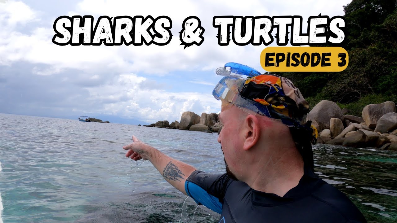 Perhentian Islands swimming with Sharks & Turtles! 🇲🇾Ep:3