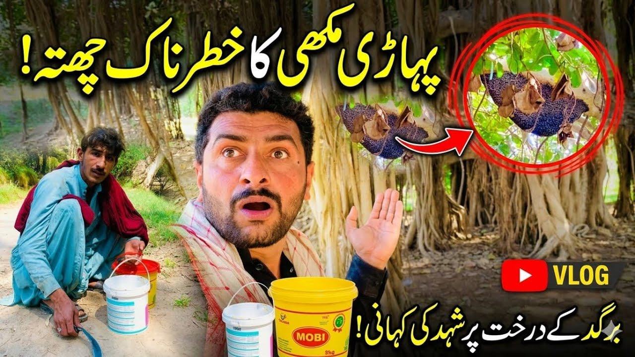 Yeah Mi Mata Raha Ek Di say Padi Maki video Vila Raksha Wala #farming #funny #video 