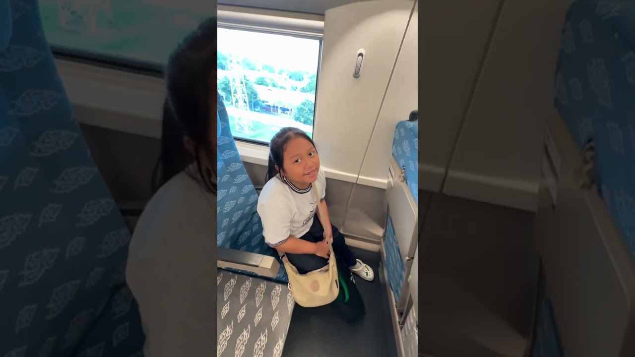 Whhhoooosssshhhhh…🚄