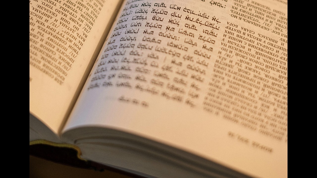 PARASHAT (Torah portion) MISHPATIM  February 2026    Geoffrey Cohen