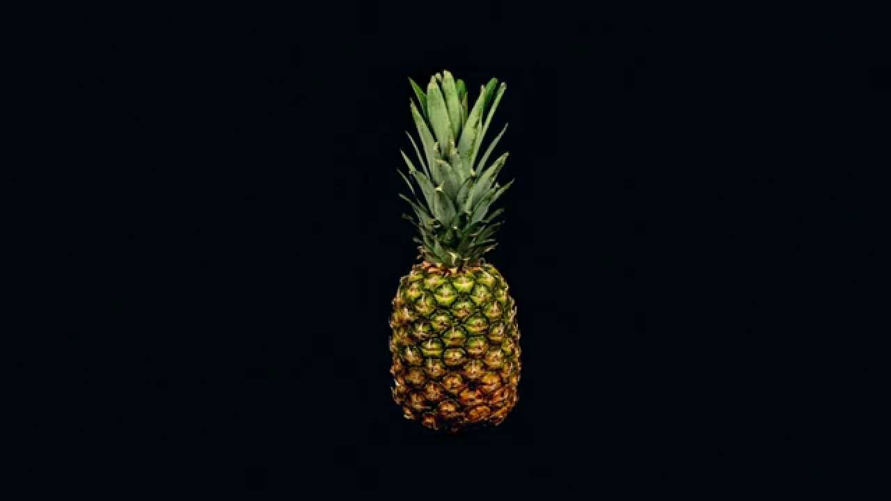 Selections from ENCYCLOPEDIA by The Drums