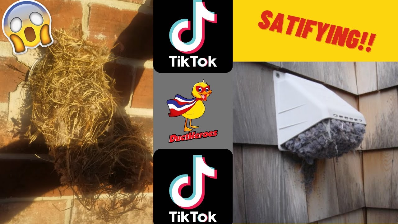 Satisfying Dryer Vent Cleaning #9 (TikTok Edition)