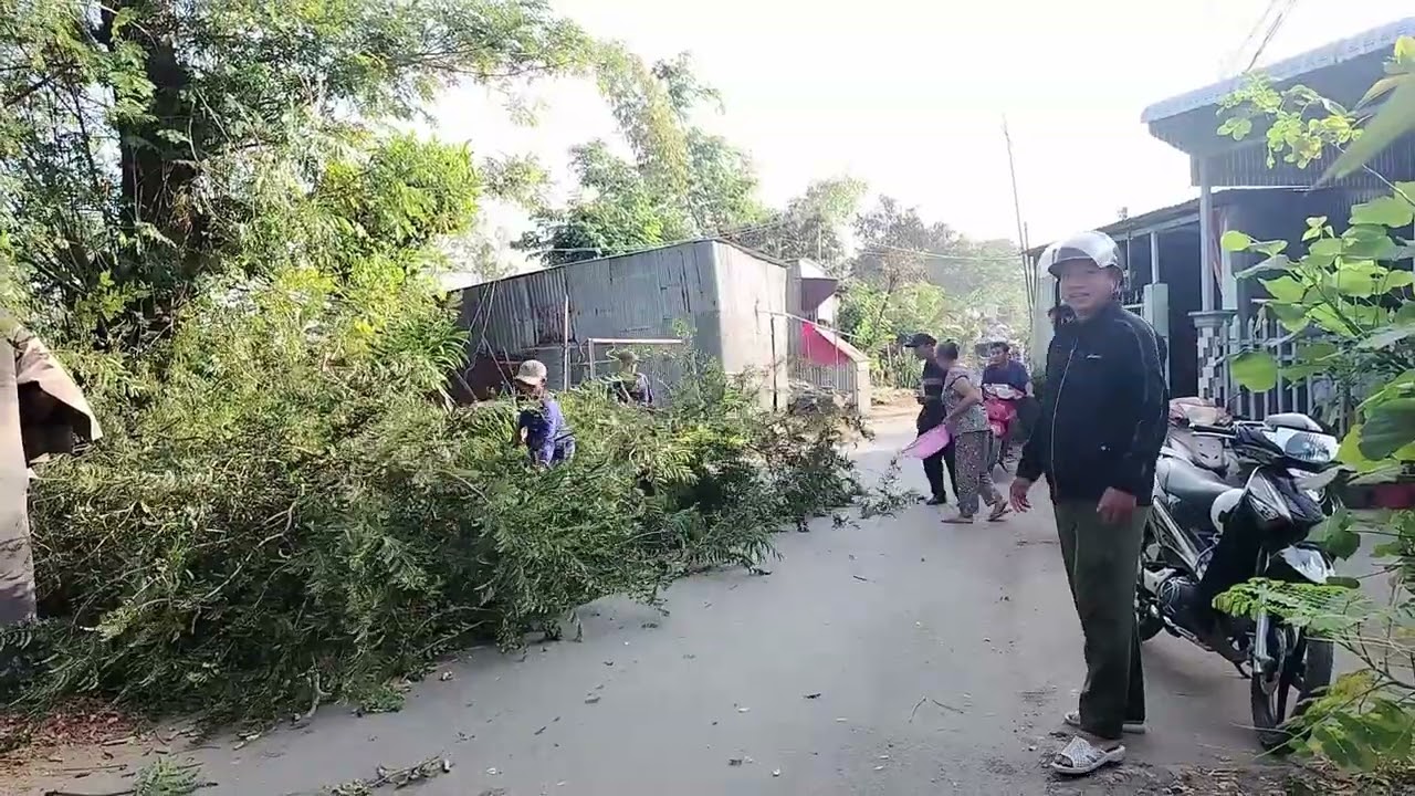 Phú Hữu ra quân chặt cây, mé nhánh, giải tỏa hành lang lộ giới an toàn giao thông dịp Tết Nguyên đán