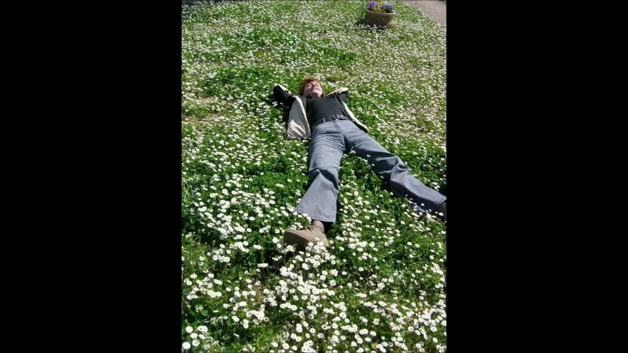 I vaghi fiori -  Palestrina