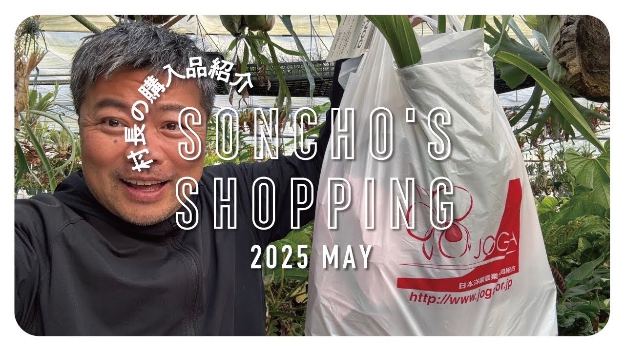 【購入品】福岡蘭展2025で購入した植物を紹介❗️