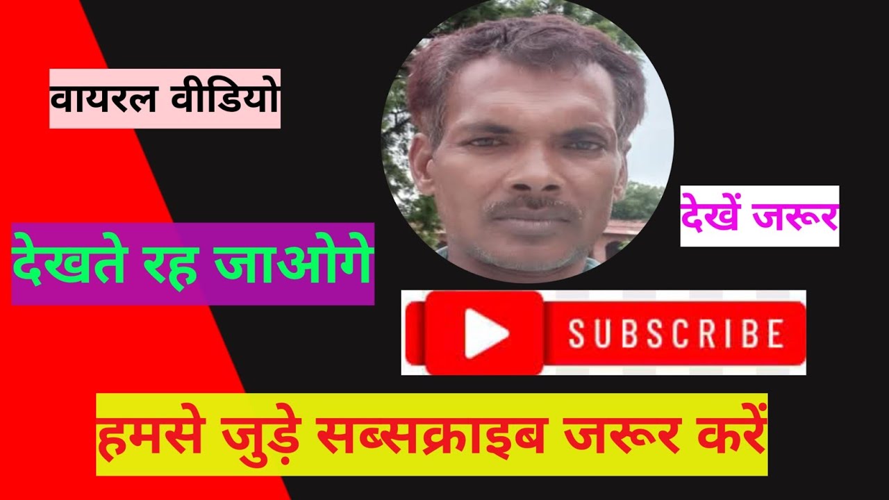जंगल में आपको क्या-क्या देखने #ReelsVideo #BeatSync #EpicMoments  #EpicMoments #ViralShorts #viral 