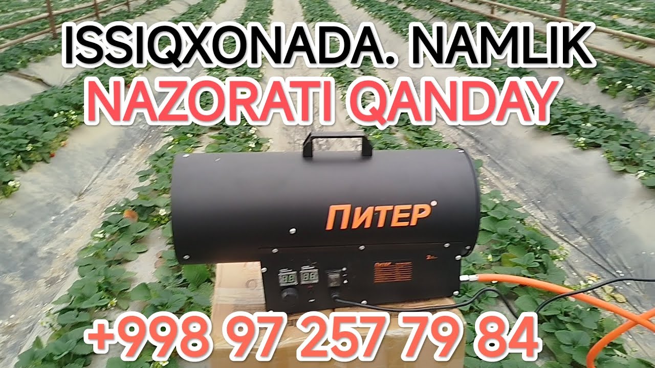 ПАРНИКДА НАМЛИК НАЗОРАТИ