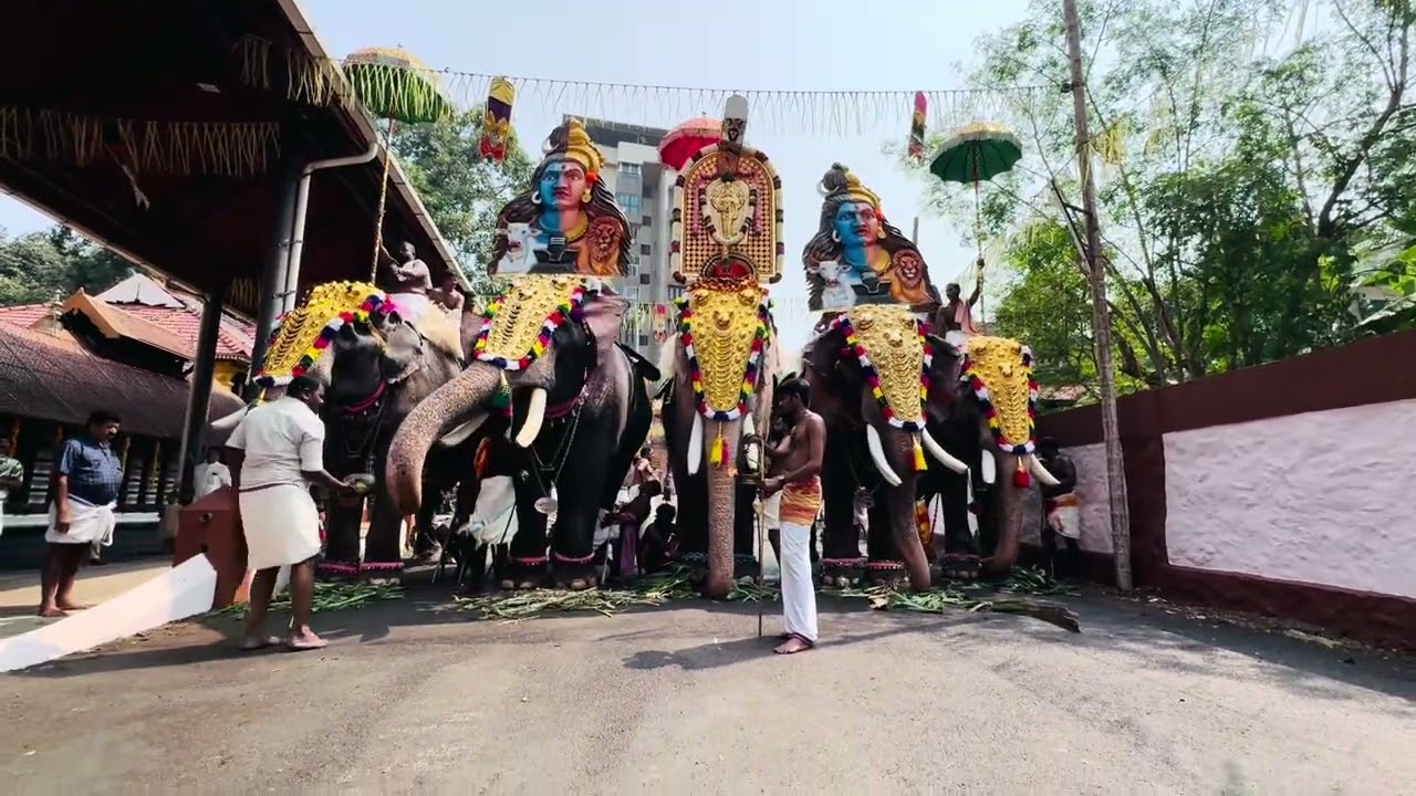 Panchari Melam @ Kuttankulangara Sree Mahavishnu Temple | Peruvanam Kuttan Marar | Uthsavam 2026