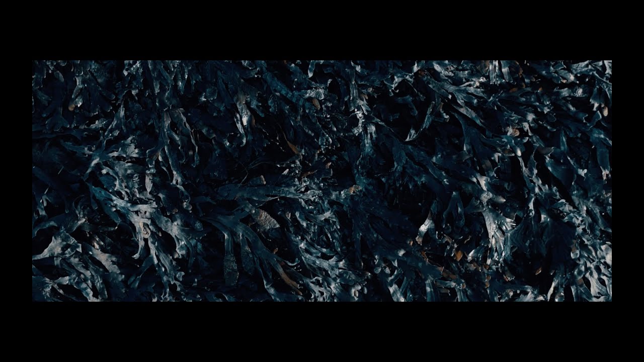 3PLUSSS - MANTRA (prod. von WE DO DRUMS) [Official Video]