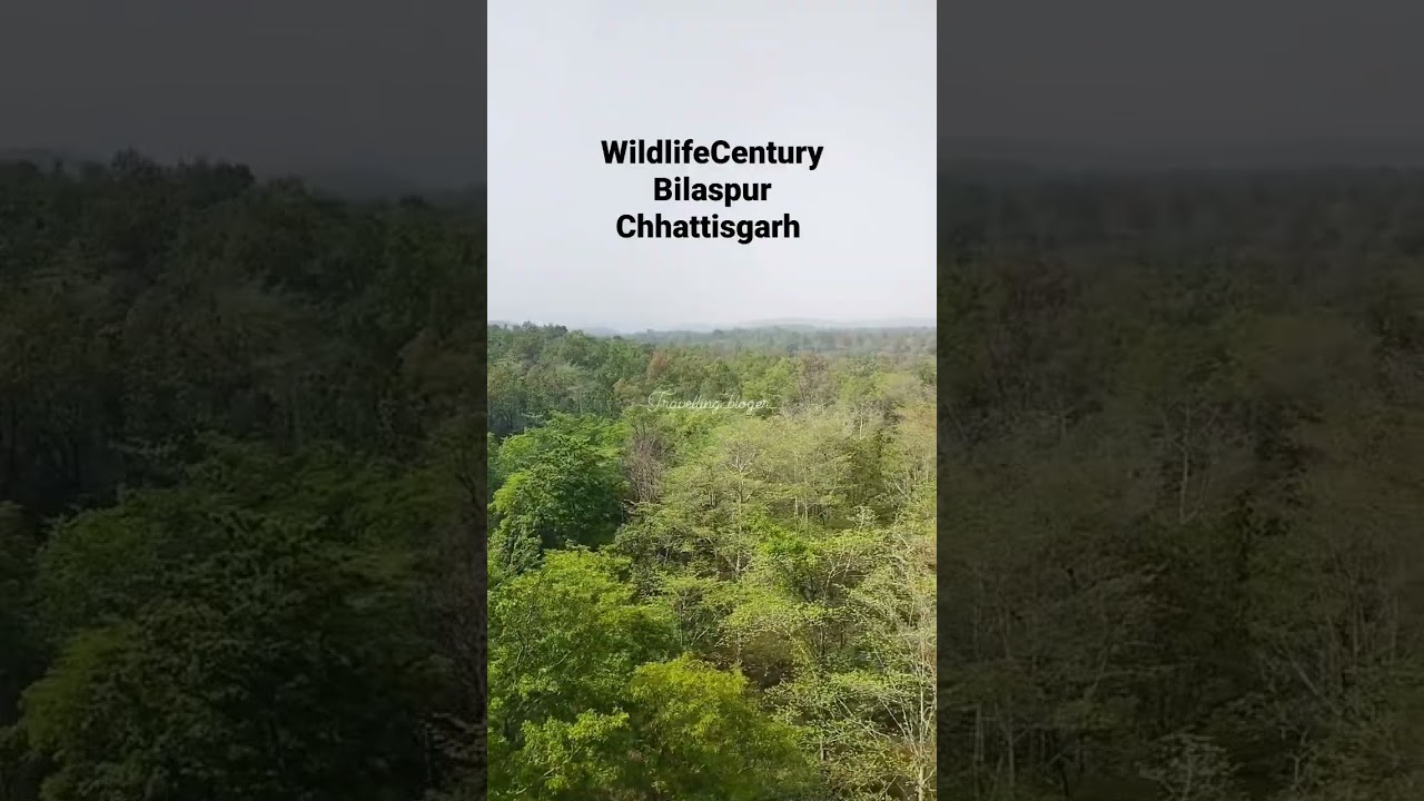 #wildlifecentury #bilaspur #chhhattisgarh