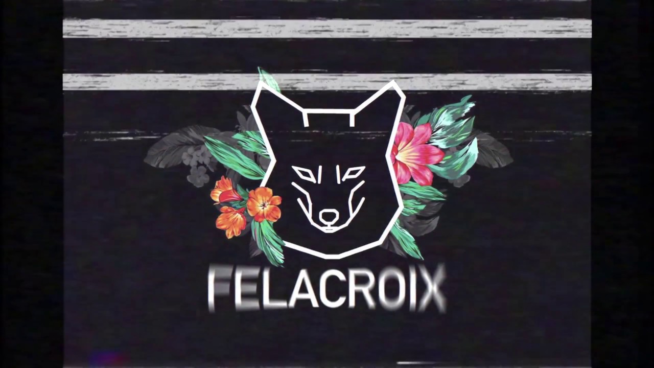 AFTERMOVIE | FELACROIX - Tour Brasil