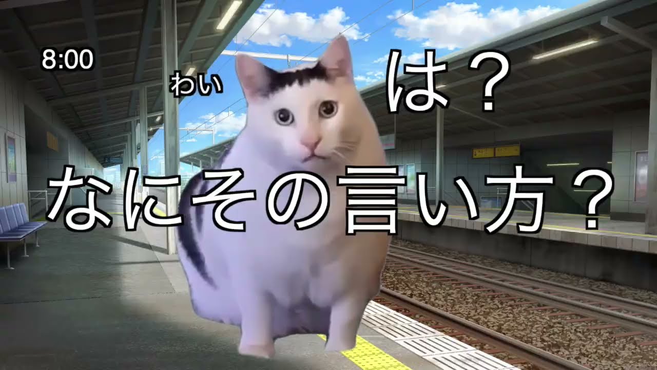 とある駅員の一日　学生の頃駅でバイト（押し屋）していた時の話【#猫ミーム】