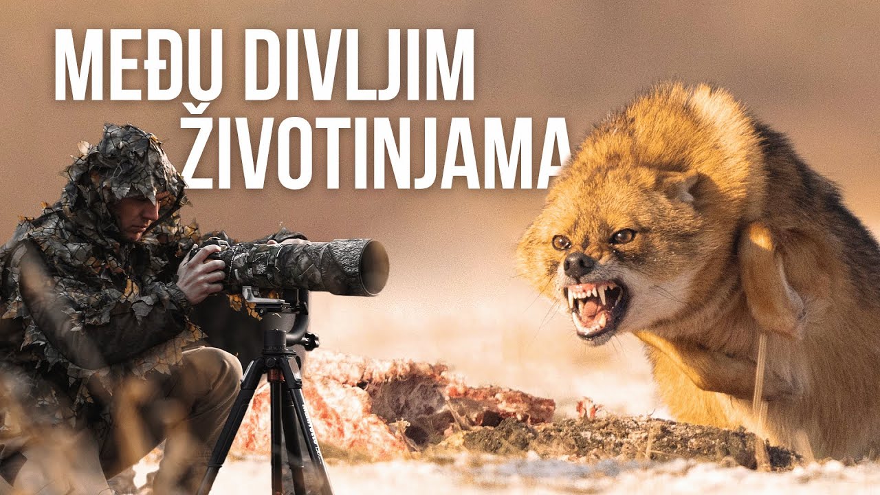 Išao sam u FOTO LOV na DIVLJE životinje