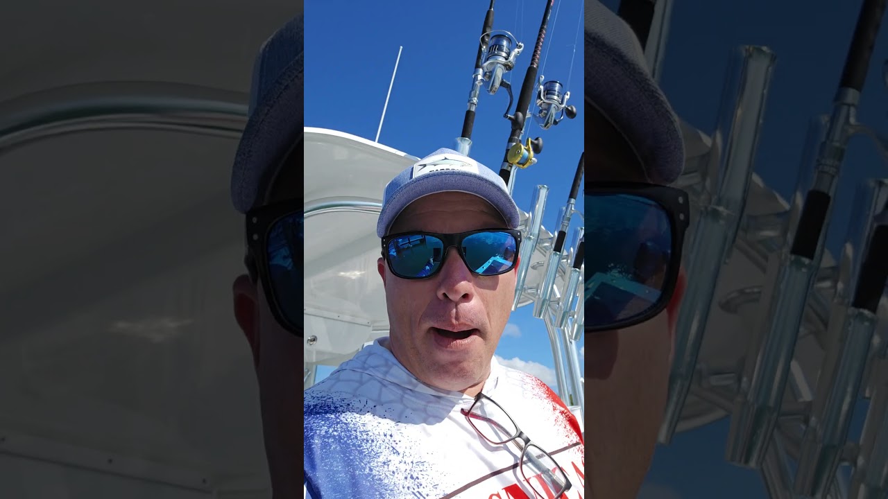 INFECION TIBURONES TORO EN LA MARINA DE CRANDON PARK!