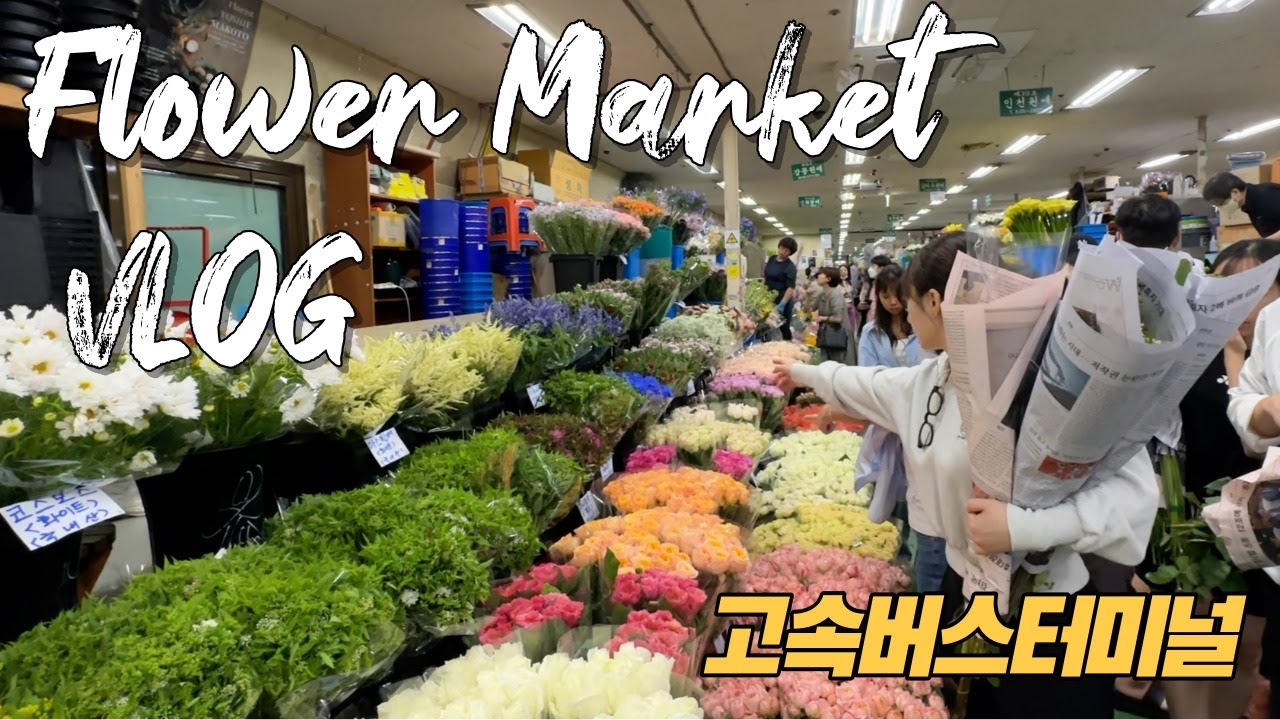 여긴 천국인가? 미친 꽃컨디션! 고속버스터미널 꽃시장(Flower market)방문기, Florist Vlog, 곽자매 브이로그 Vlog