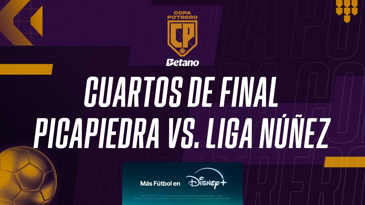 COPA POTRERO - LIGA NUÑEZ VS. PICAPIEDRA - CUARTOS DE FINAL