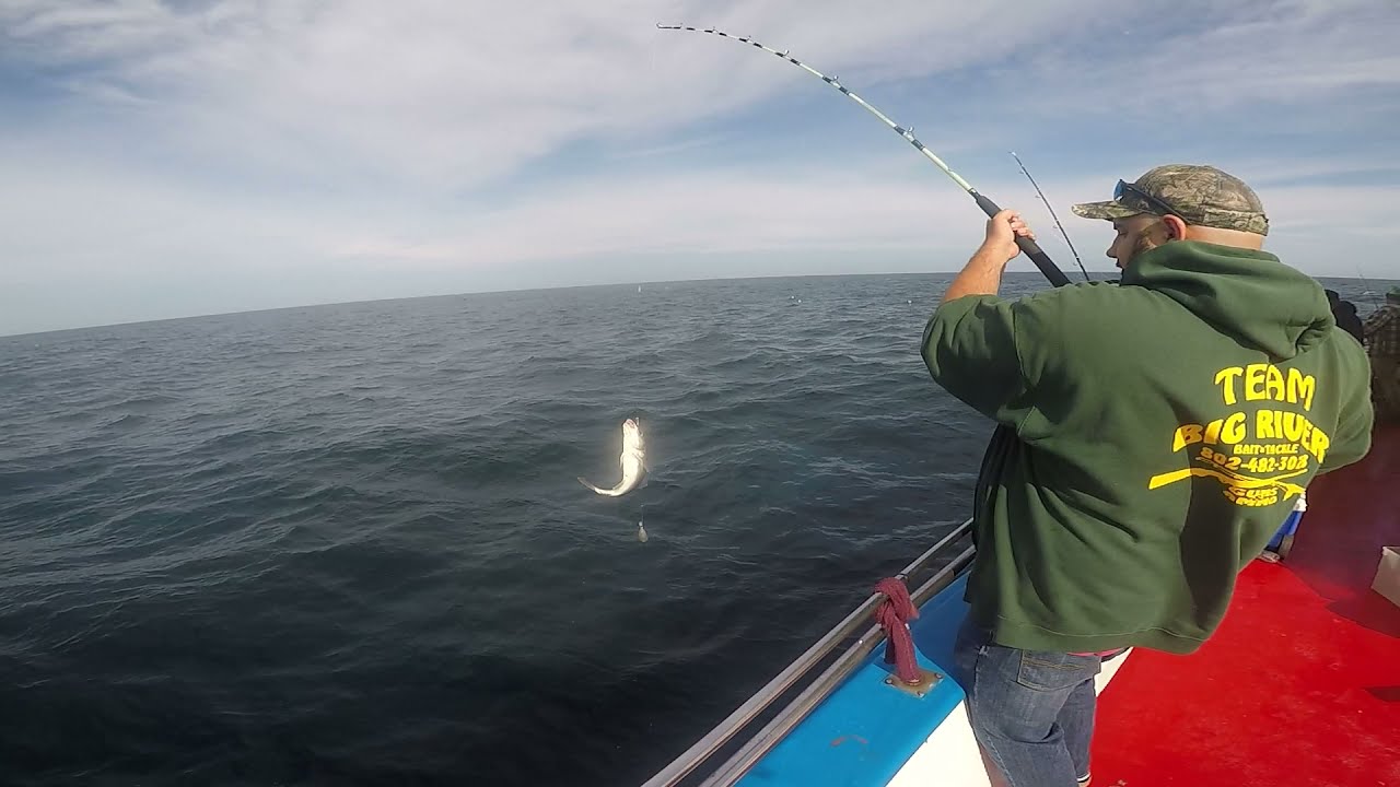 Deep sea fishing on the Al Gauron
