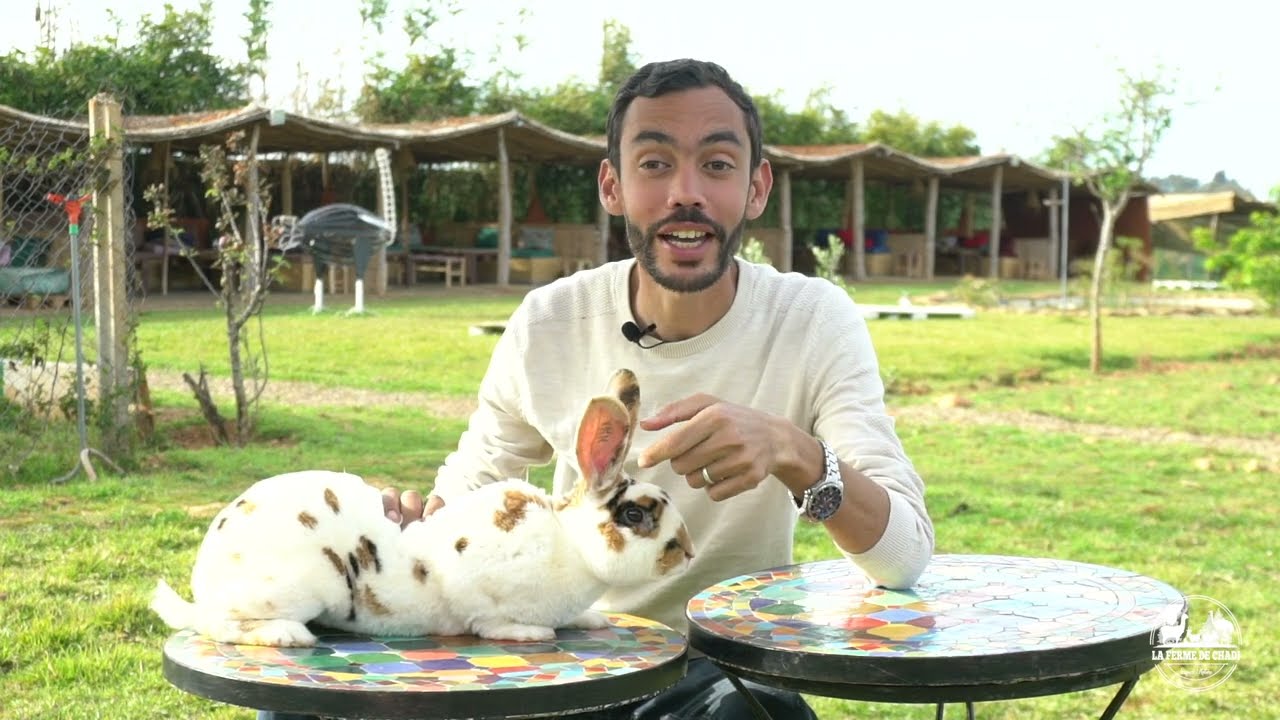 La ferme de Chadi - Elevage et reproduction, Episode 1 ( lapins d'ornement )