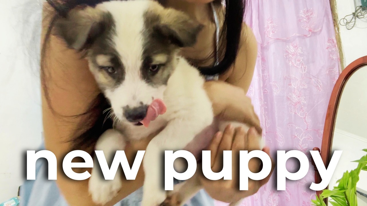 We Adopted a Stray Puppy | Sky’s First Mini Adventure 🐾 🇵🇭 I Vlog 11