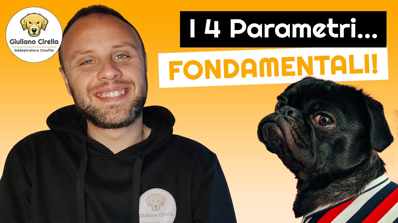 🐶 I 4 Parametri per Addestrare un Cane (che l'80% Non Conosce) | Giuliano Addestratore