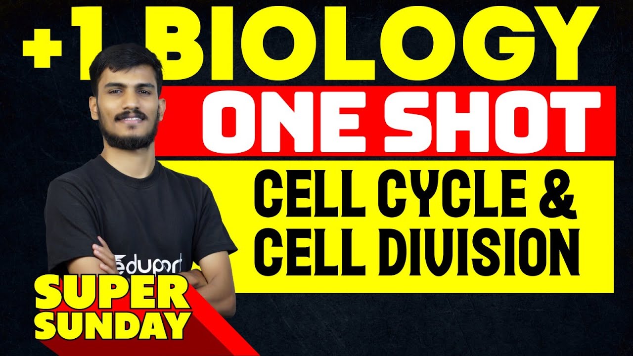 Plus One Biology | Cell Cycle and Cell Division - One Shot | Eduport