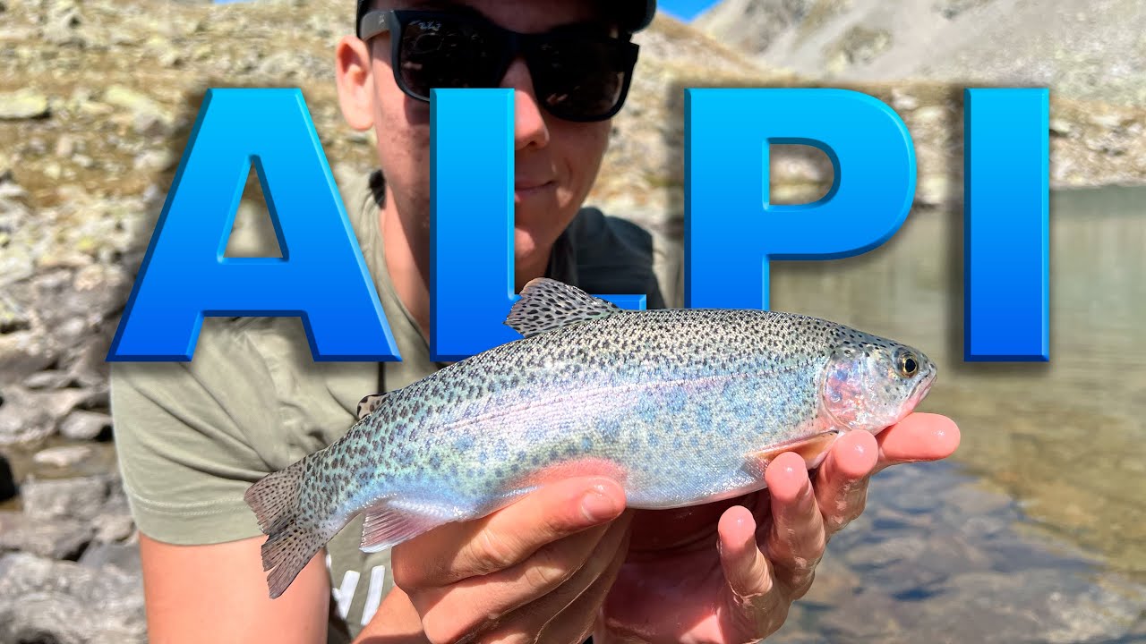 Alla ricerca di magnifiche trote in laghetti sperduti tra le alpi.