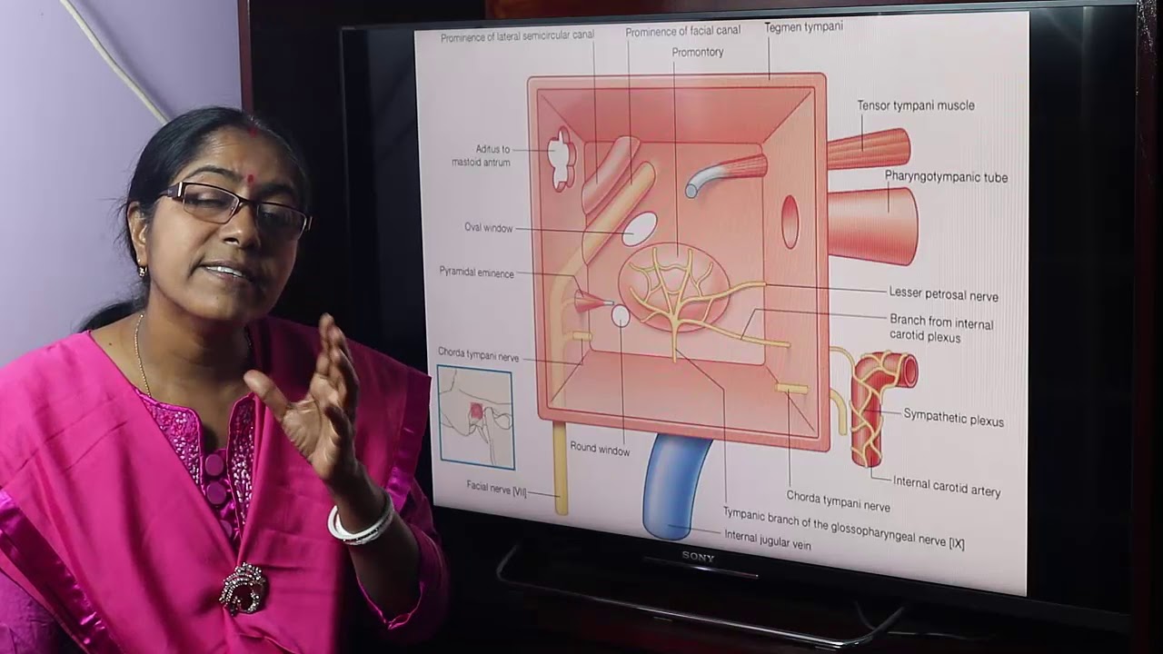 Lecture On Middle Ear