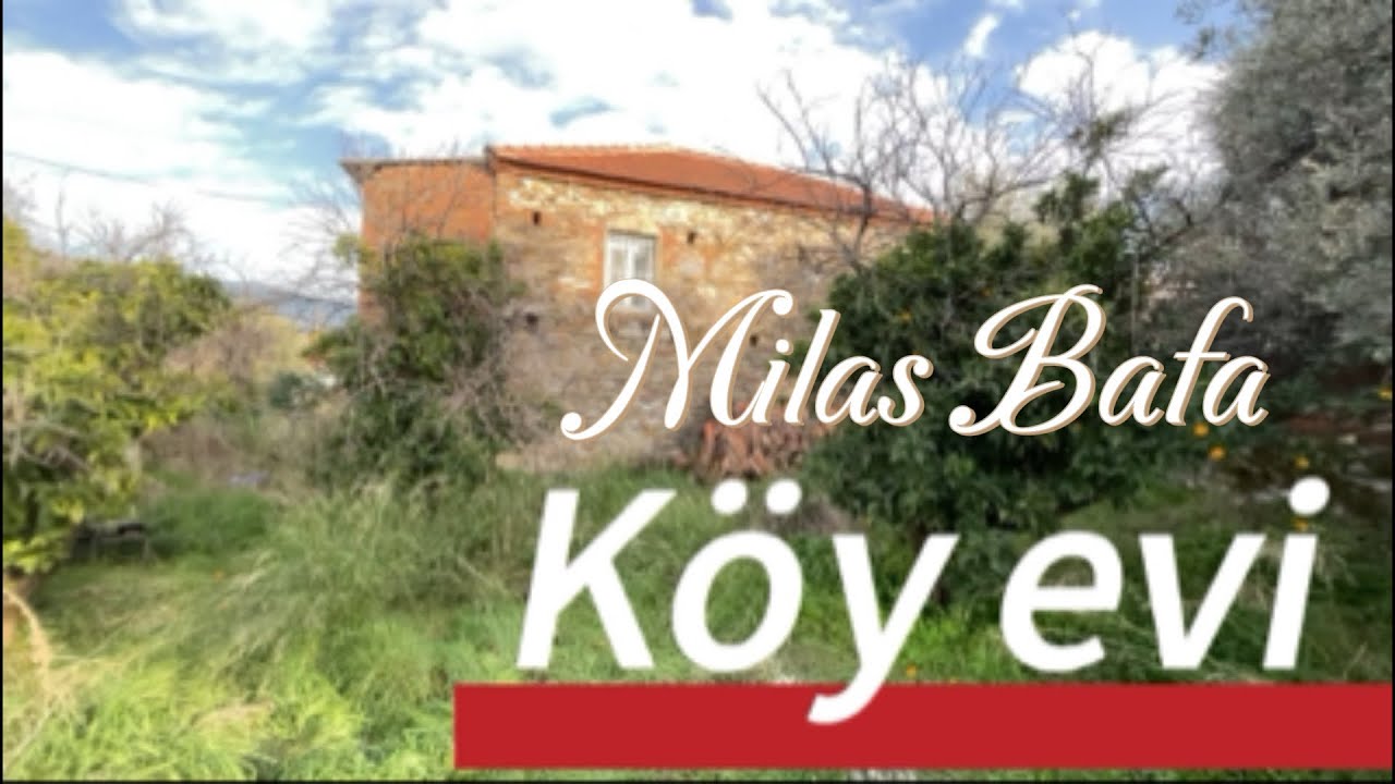 Milas Bafa doğayla iç içe yaşam alanı