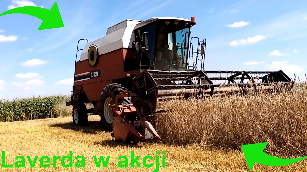 🔥Żniwa 2021🔥Laverda L521 w akcji🔥Zapchana młocarnia🔥GrBurszowski🔥