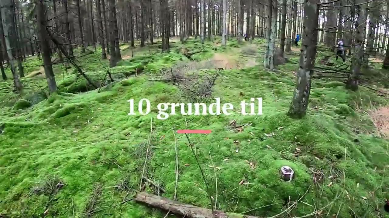 10 grunde til at l&oslash;be orienteringsl&oslash;b