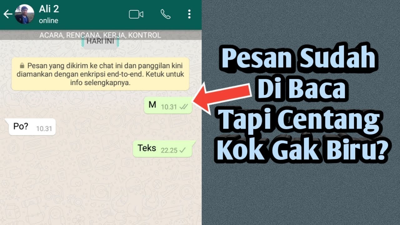 Cara Menghilangkan Centang Biru Di Whatsapp