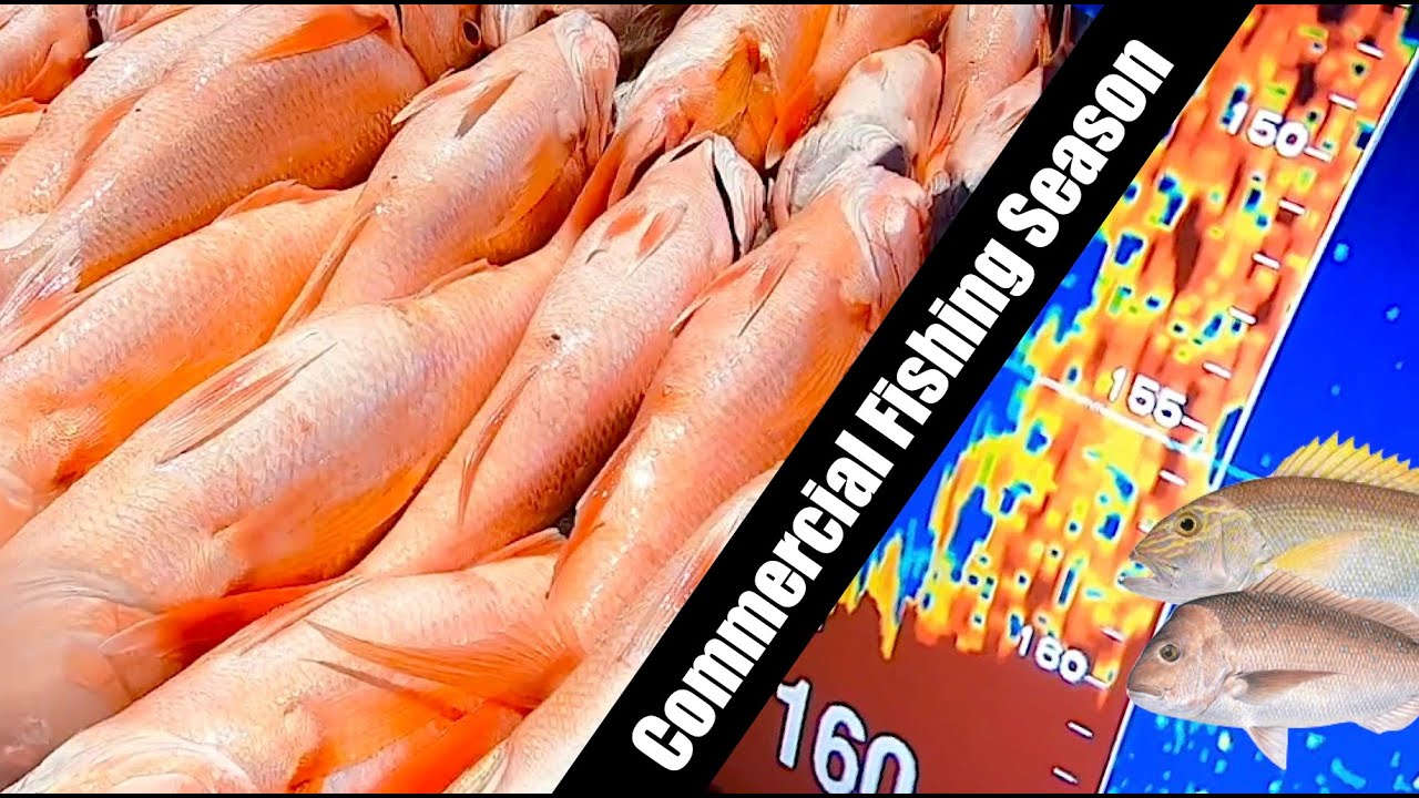 НАШ ПЕРВЫЙ СЕЗОН ПРОМЫСЛОВОЙ РЫБЫ. Оглядываясь назад на то, чему мы научились в наш первый сезон.
