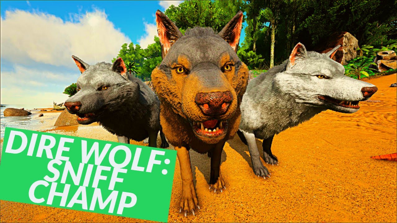DIRE WOLF: PACK BONUS/SNIFF ABILITY OF JUSTICE