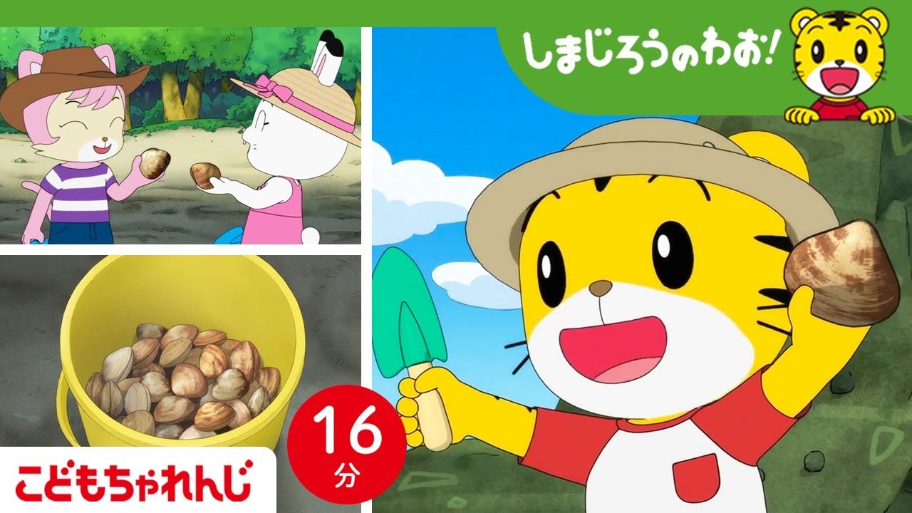 【16分アニメ】潮干狩り♪ おおきい貝、みーつけた！ | 海の生き物・潮の満ち引き | しまじろうのわお！アニメ | しまじろうチャンネル公式