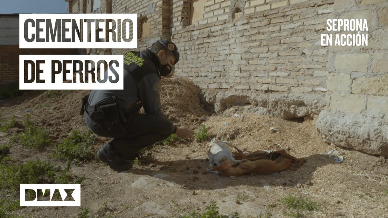 Maltrato animal: los agentes no pueden creer lo que encuentran en esta finca | Seprona en acci&oacute;n