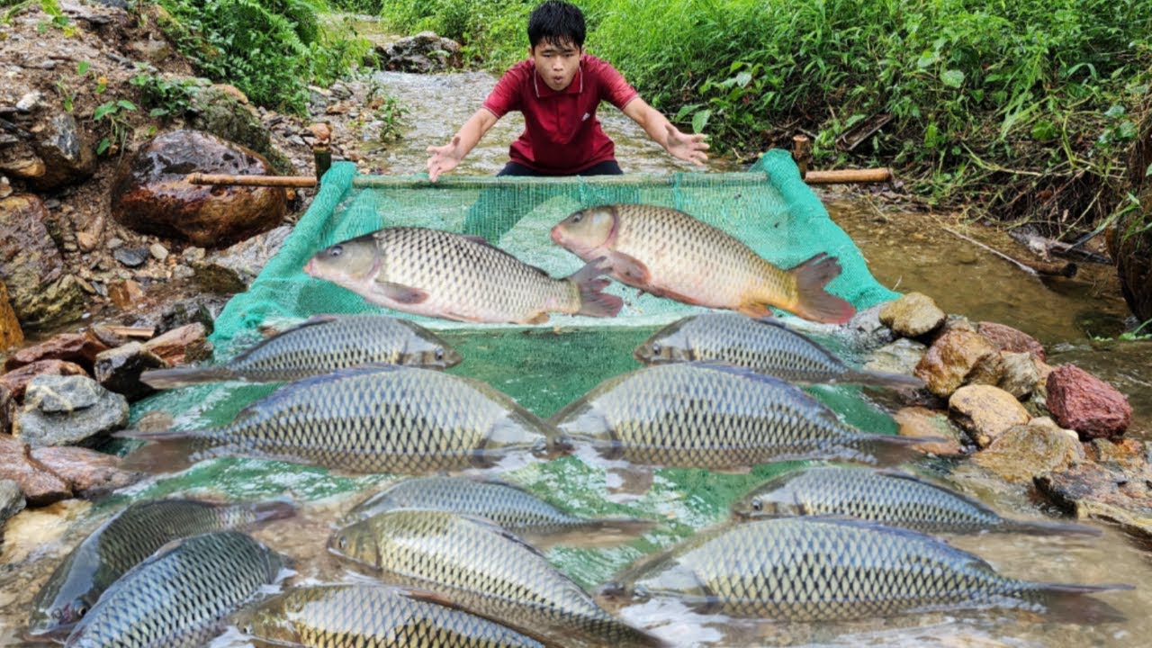 45-day journey The boy fished in the stream and caught a lot of fish to sell at the market.
