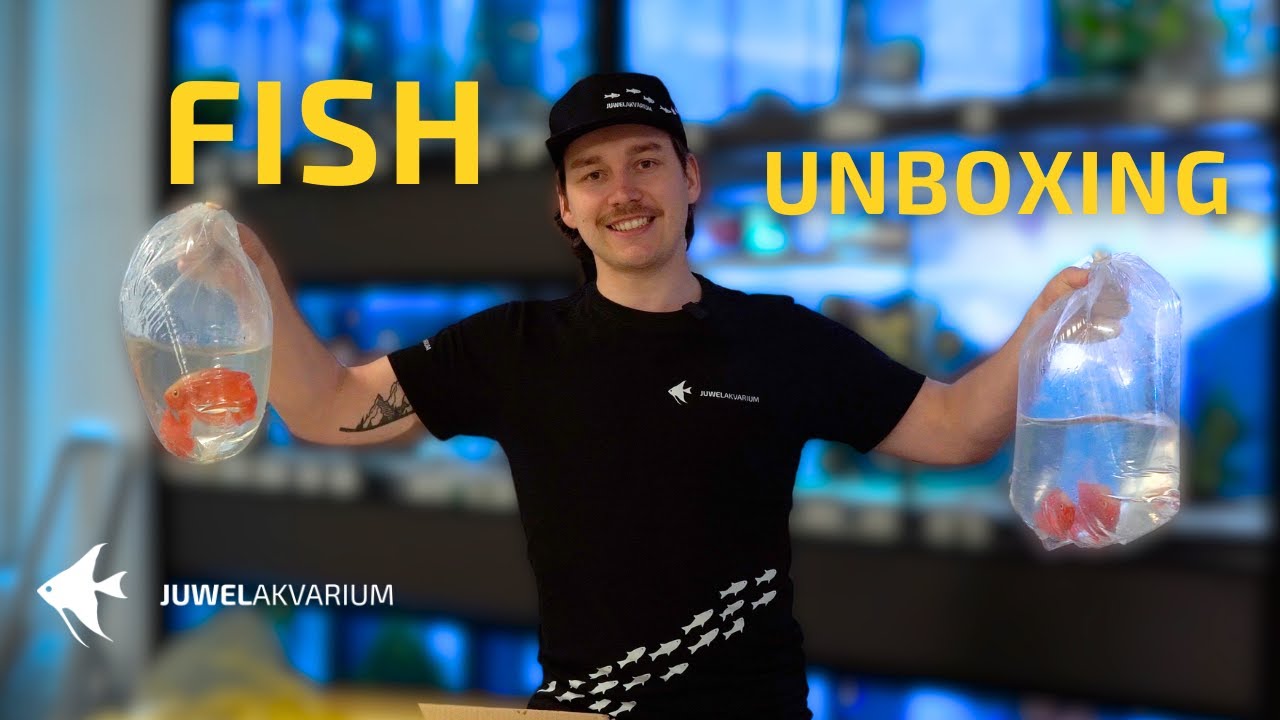 Fish unboxing - nové ryby na prodejně ve Vysokém Mýtě