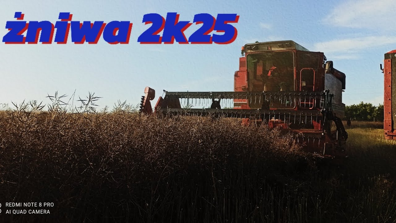 Żniwa 2k25 czyli rzepak pod kosę